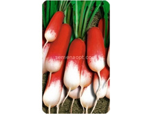 ����� 18 ���� ���,(��) 4,60 ���. [���.12000042]