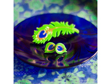 �������� ���� �������.