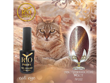 cat Eye_22