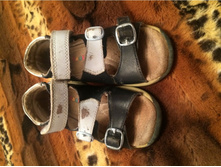 581c6cd93491d image.jpeg