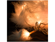 ��������������� 40 ����, ������, 8 �������, 5 � 402,5.jpg