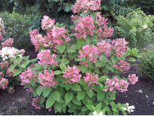 207���. ��������� ����������� ���� �������� ���17.jpg