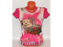 �������: 6029