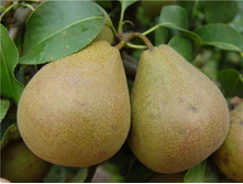 ����� ����������� �������-400�.jpg