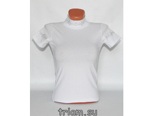 �������: 2330