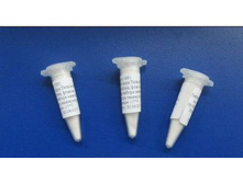 �������� ��� ���� ��������� Tilsiter �� 10 � ������.jpg