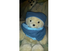 ������������   pupsiki