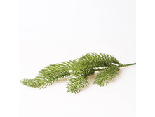 ����� ������� 47 �� � ��������, ���� ������� 380146 150 ���.jpg