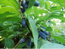 191���. ��������� ���������� ���� ���17.jpg