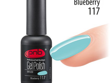 Blueberry 117.jpg