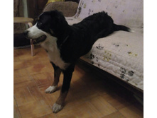 IMG 20161125 174117.jpg