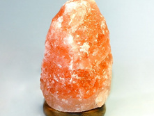 ������� �����  10-14 ��  1355 ���.