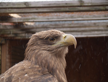 ������� 04042009 03.JPG