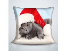 ����������� ����� � ����� (��� �45).png