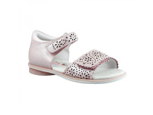 7981 � �������� 27,27 ���� 855 ���.jpg