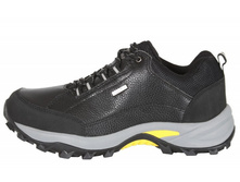 MAXX ����������� 43 ��