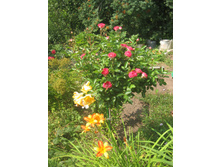 ���� ��������� �����.