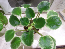 ��-�������� ���