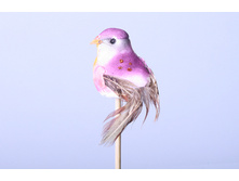 ����� ������ ��������� 41�.jpg