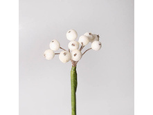 ������ ����� ����� � ������ 65 ���.jpg