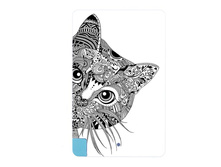 590� ����������� �������� ���������� Kitty.jpg