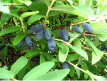 191���. ��������� ���������� ������ ���17.jpg