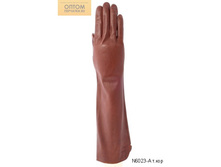 N6023-A �.���.jpg