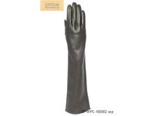 DPWPC-160002 ���.jpg