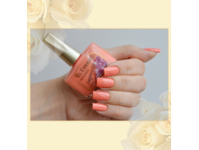 Impression 265-60 ���.jpg