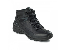 706 thumb 750 440556756071d57d-7d184.jpg