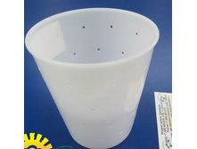 ����� ��� ����, Franz Janschitz, ��������� 500 ��.jpg