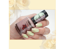 �������� t-02-95 ���.jpg