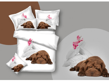 0*06 ��� �� ������ (��) "����*�����"