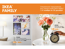 IKEA FAMILY 17 11 25 12 16 434.jpg
