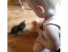 20161011 102123-1.jpg