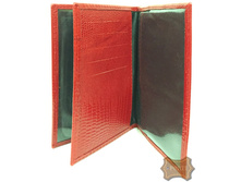 ��-42� ������� ���� �����-������� (366 ���). �������.jpeg