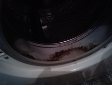 IMG 20161111 011604.jpg