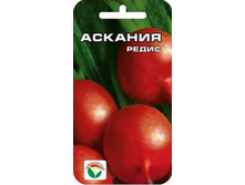 ����� ������� F1 2� �.� 6,00 ���. [���.12000066]