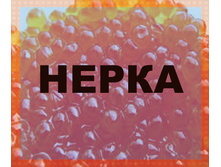 ����� �������.jpg