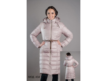 ������ 43�