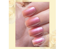 Poly-Chrome 353-60 ���.jpg