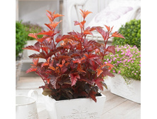 214���. ������������� ������������� ����� ������ ���17.jpg