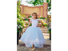 IMG 0058 - L - 65$.jpg