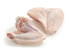 ����� �������