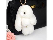 kr001 �����