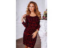 ������ 2443-800 ���