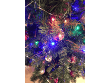 ����� �������2.bmp