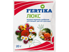 ������ ����(��� 20�) ������� ���