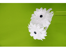 A15 204 ������ �-�� "Trestelle"8��, ����290