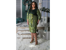 ������ ������ ������� ����� 2050.jpg